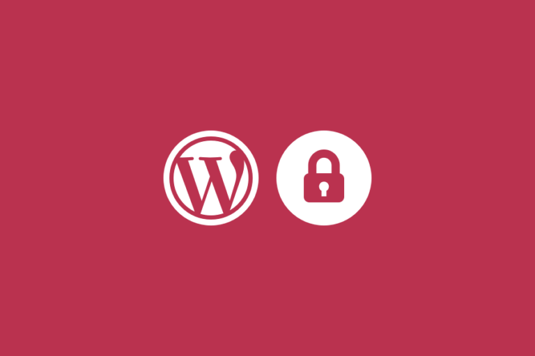 WordPress Theme Security